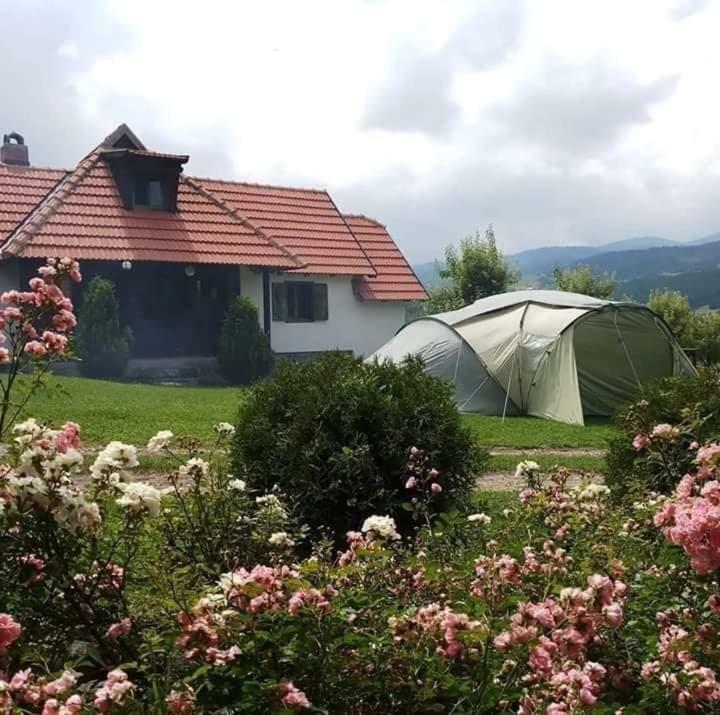 Апартаменти Camp Viljamovka Kremna Екстер'єр фото
